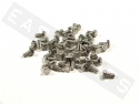 Tornillo hexagonal DIN 933 M6x12 acero inoxidable (contiene 50)