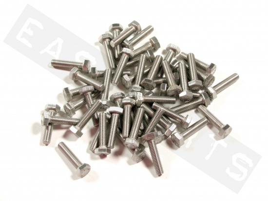 Hex head bolt M6x25 (1.00) stainless steel(50 pcs)