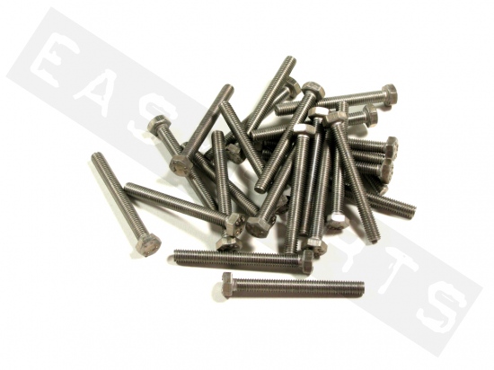 Hex head bolt M6x55 (1.00) stainless steel(25 pcs)