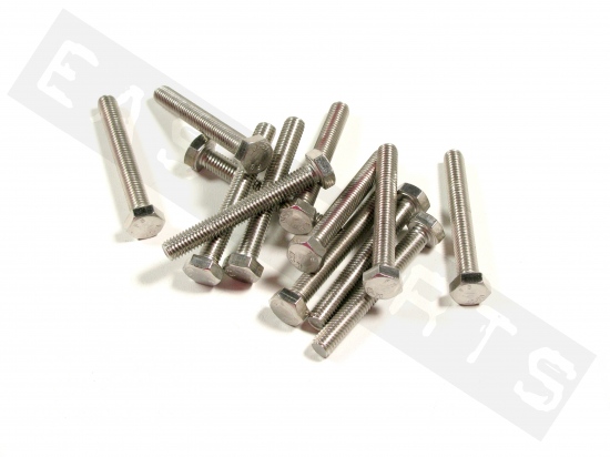 Hex head bolt M6x60 (1.00) stainless steel(25 pcs)
