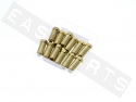 Cap nut M6 (1.00) Zinc plated steel (12 pcs)