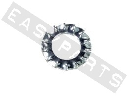 Arandelas dentadas DIN 6798 M10 acero galvanizado (contiene 100)