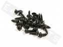 Screw Set Black Ø4,8x16mm (25 pieces)