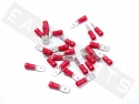 Tab Terminal Male 6,3mm Red (25 pieces)