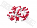 Tab Terminal Female 2,8mm Red (25 pieces)