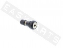 Válvula neumático Tubeless recta/ corta 11,5mm goma / níquel