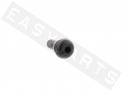 Válvula neumático Tubeless recta/ corta 14,5mm goma