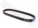 Variator Belt ATHENA Honda Foresight/ Jazz/ Piaggio X9/ Peugeot SV 250