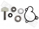 Water pump repair kit RMS Majesty 250 H2O 4T E1 2000-2003