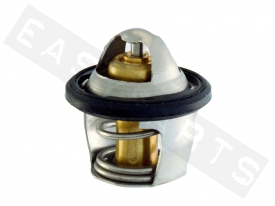 Thermostat RMS Kymco People GT 300/ Downtown 125