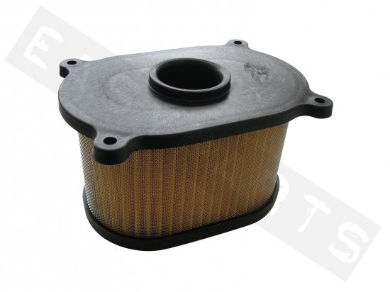 Air filter element MIW (HY19100) Hyosung GT Naked 125 4T E2-E3 2003-2012