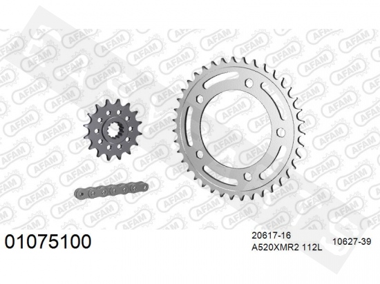 Kit catena AFAM acciaio standard Honda Integra 700 DCT 2012-2013