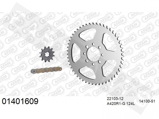 Kit catena AFAM acciaio standard Suzuki TS-X 50 1984-2002