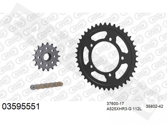 Chain & sprocket kit AFAM steel Aprilia Caponord 1200 2013-2019