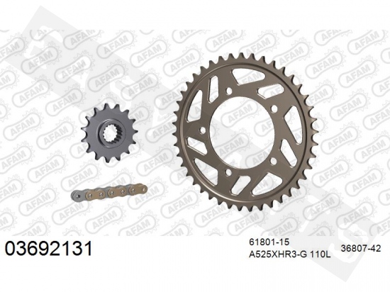 Chain & sprocket kit AFAM alu Aprilia Tuono V4 1100 RR- Factory 2015-2021