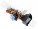 Kabel Adapter Alarmanlage GEMINI KITCA429N17