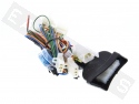 Kabel Adapter Alarmanlage GEMINI KITCA614N17