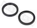 Fork Oil Seal Rs 41x51x6