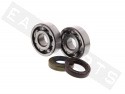 Crankshaft bearing kit TN9 CENTAURO Minarelli AM3>6 50 H2O 2T E1-E2 (ECO ve