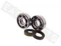 Crankshaft bearing kit CENTAURO Minarelli AM3>6 50 H2O 2T E1-E2