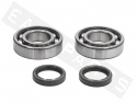 Crankshaft bearing kit CENTAURO Aprilia-Rotax (122-127) 125 H2O 2T
